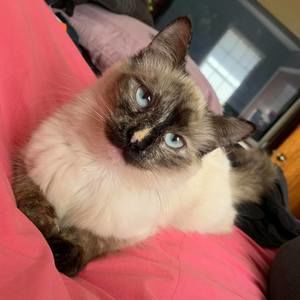 Meet your Posher, Julia